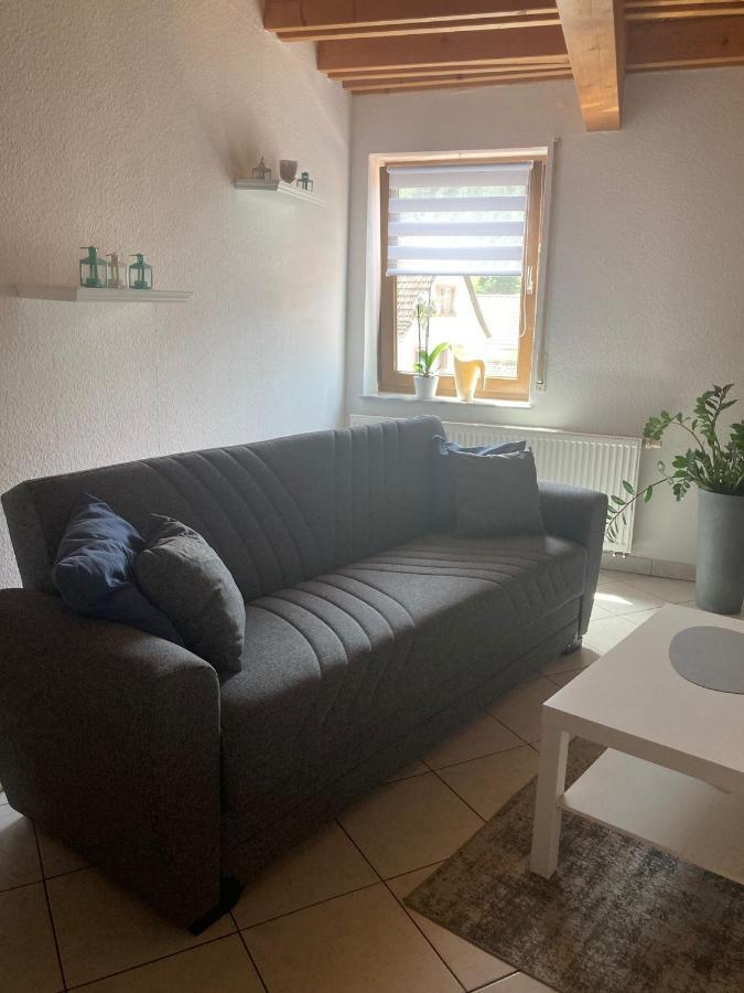 Dz Im Haus Maja Apartment Holzkirchen  Exterior foto